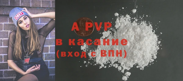 индика Коряжма