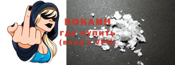 индика Корсаков