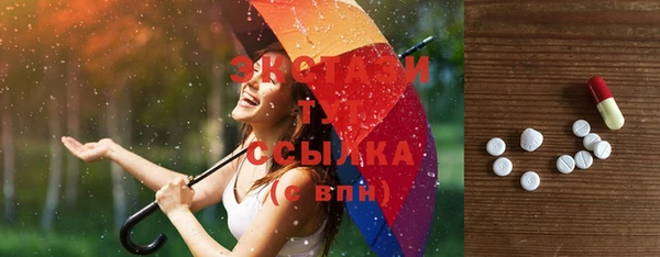 индика Коряжма