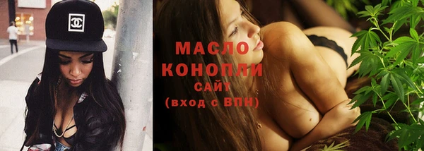 индика Коряжма
