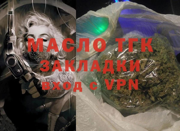 индика Коряжма
