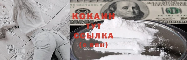 индика Корсаков