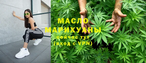 индика Корсаков
