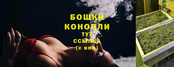 индика Коряжма