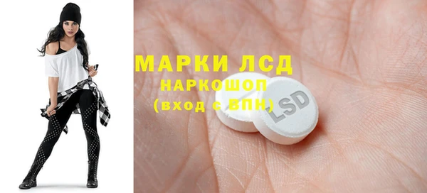 индика Коряжма
