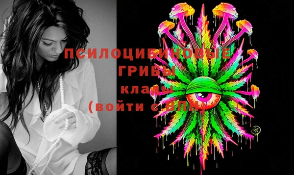 apvp Приозерск