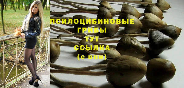 индика Корсаков