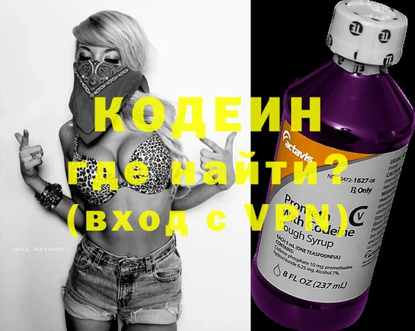 индика Коряжма