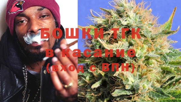 индика Корсаков
