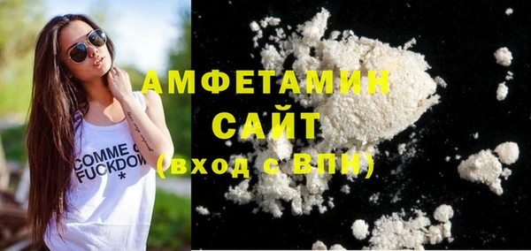 индика Коряжма