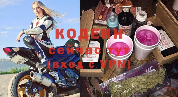 индика Коряжма