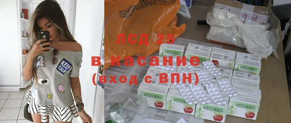 индика Корсаков