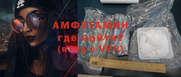 индика Коряжма